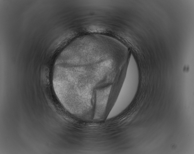 X0000090900547200708270946