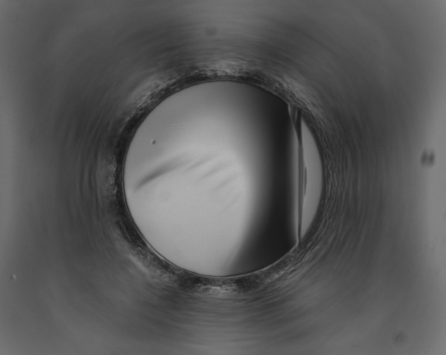 X0000090900548200708270946