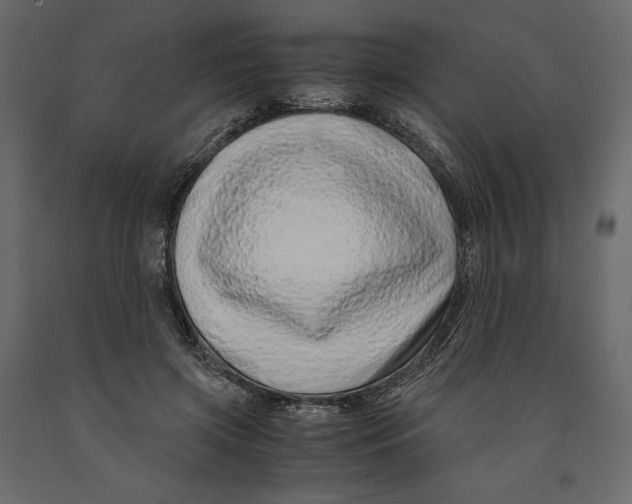 X0000090900549200708270946
