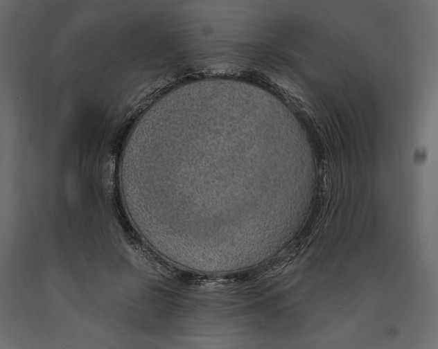 X0000090900550200708270946