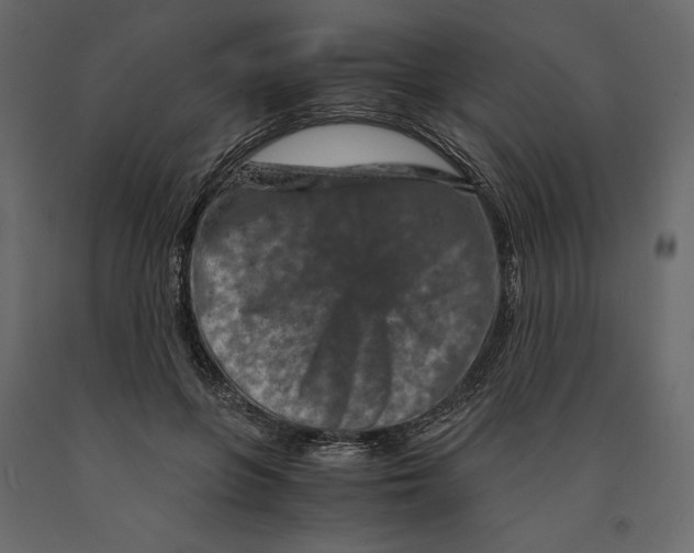 X0000090900551200708270946
