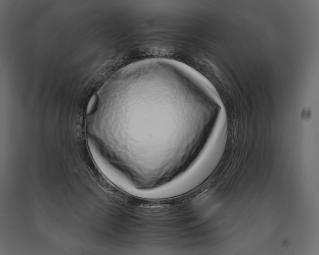 X0000090900553200708270946