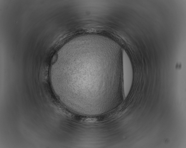 X0000090900554200708270946
