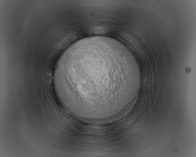 X0000090900555200708270946