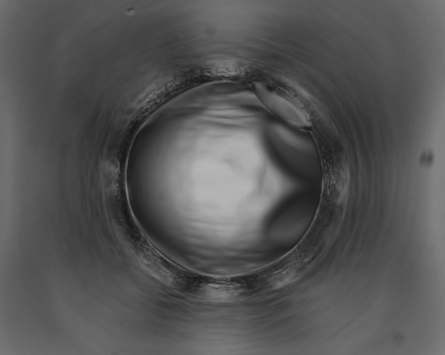 X0000090900556200708270946