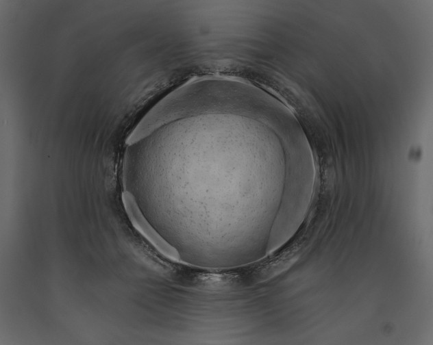 X0000090900558200708270946