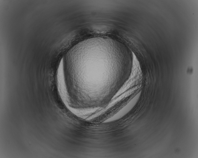 X0000090900559200708270946