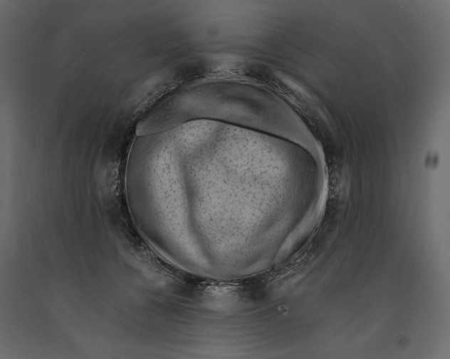 X0000090900560200708270946