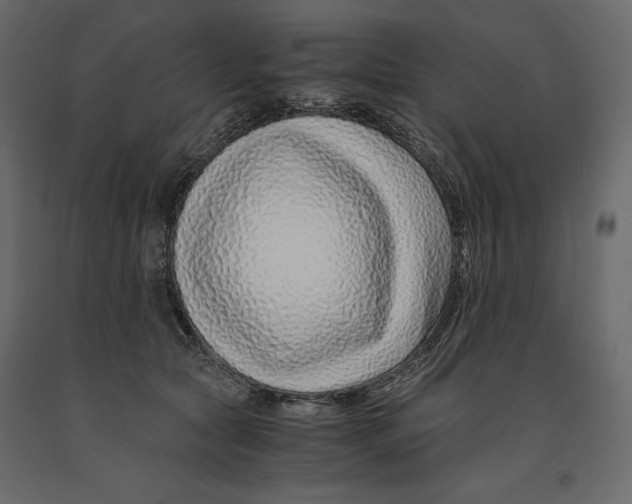 X0000090900561200708270946