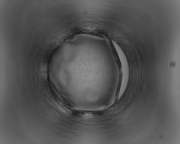 X0000090900562200708270946