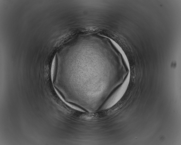 X0000090900563200708270946