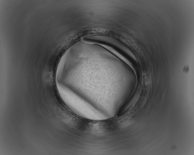 X0000090900564200708270946