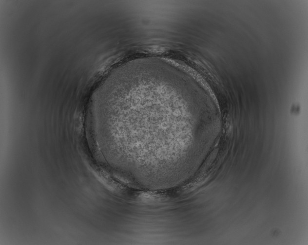 X0000090900568200708270946