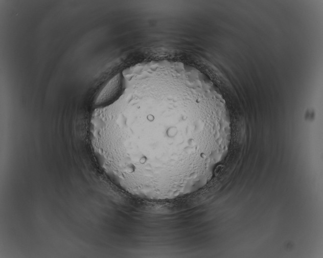 X0000090900569200708270947