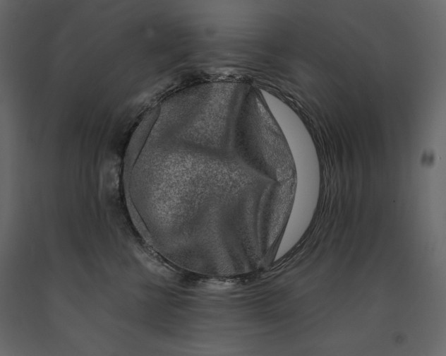 X0000090900570200708270947