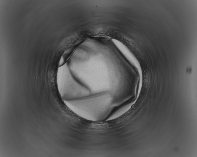 X0000090900571200708270947