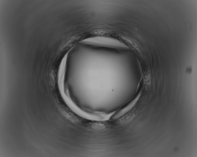 X0000090900572200708270947