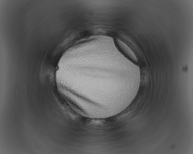 X0000090900573200708270947