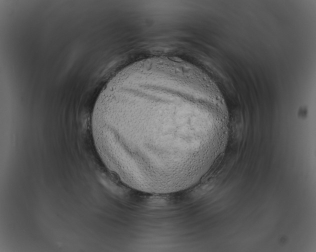 X0000090900574200708270947