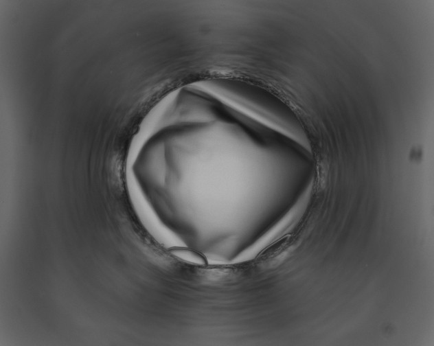 X0000090900575200708270947