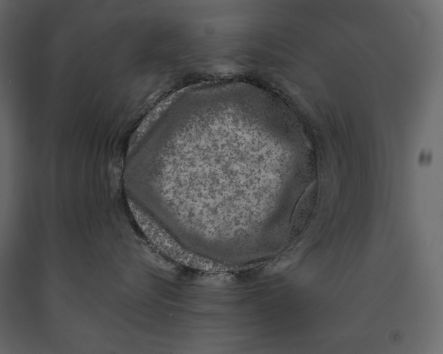 X0000090900576200708270947