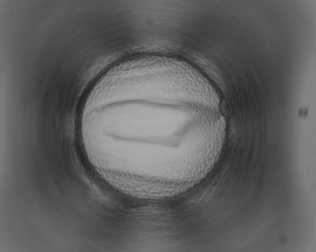 X0000090900578200708270946
