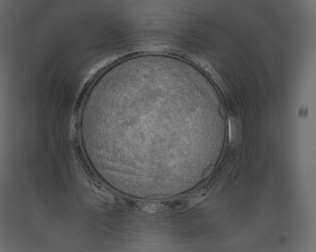 X0000090900579200708270946