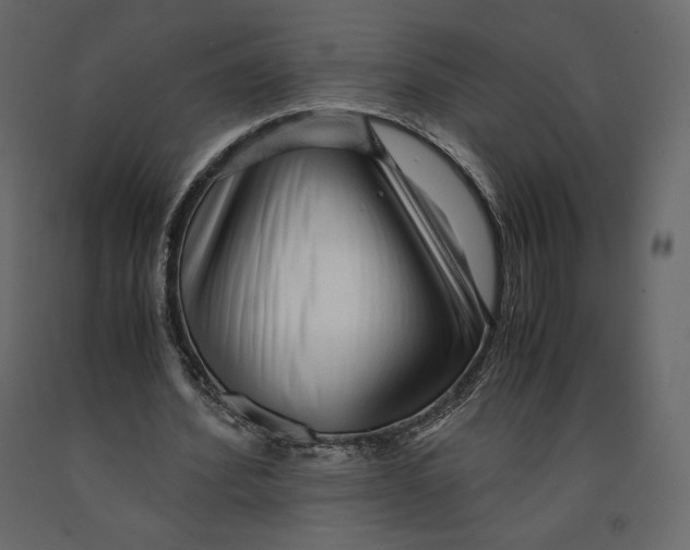 X0000090900580200708270946