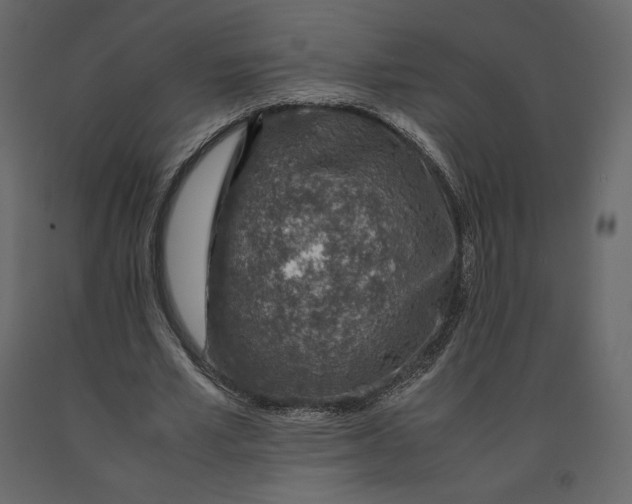 X0000090900581200708270946