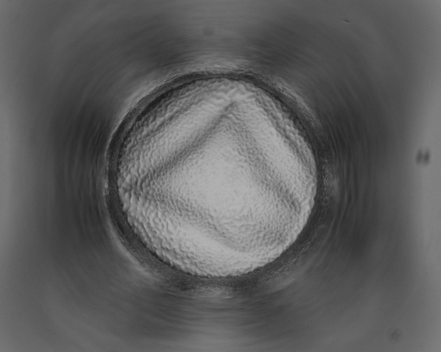X0000090900582200708270946