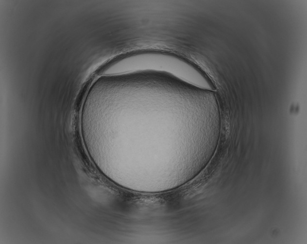 X0000090900583200708270946