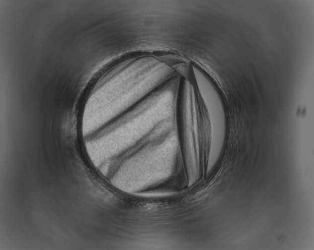 X0000090900584200708270946