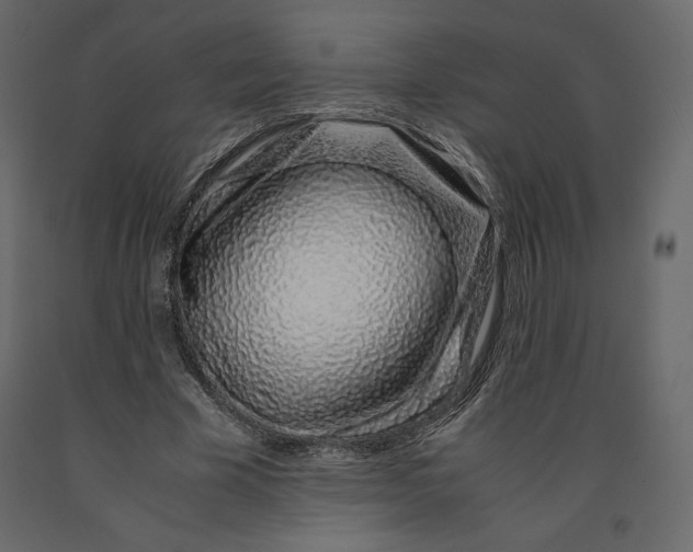 X0000090900585200708270946