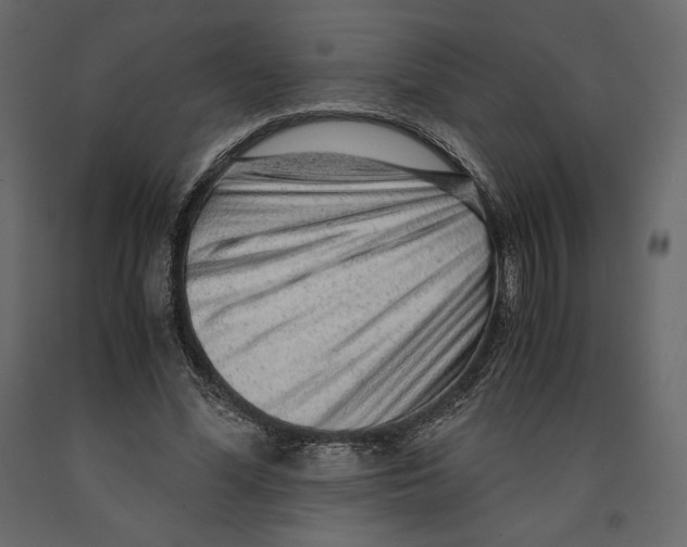 X0000090900588200708270946