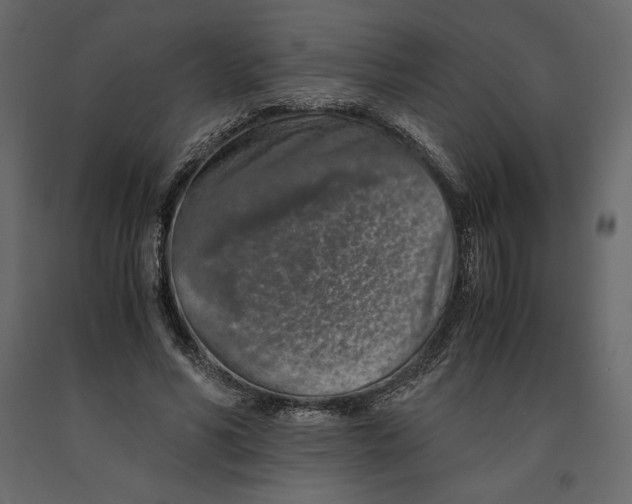 X0000090900590200708270946