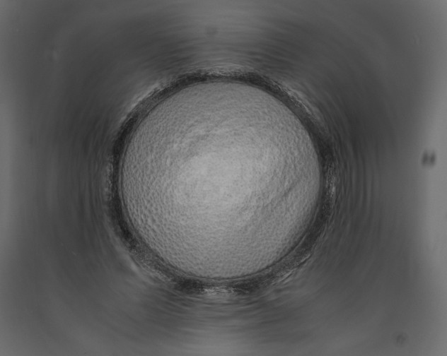 X0000090900591200708270946