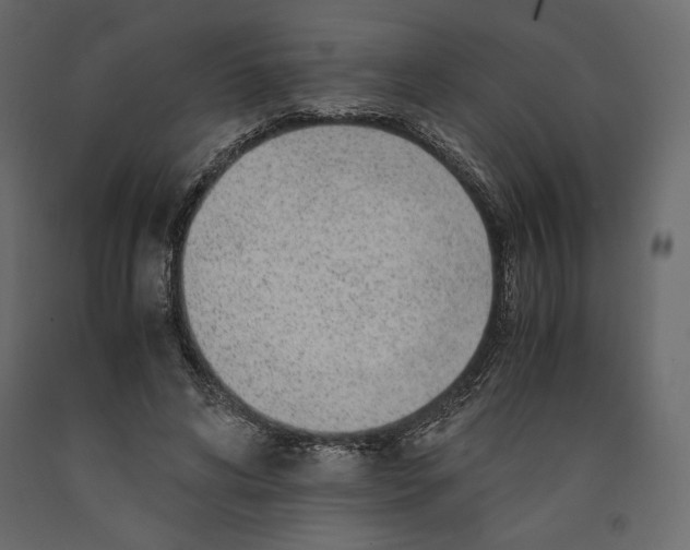 X0000090900592200708270946