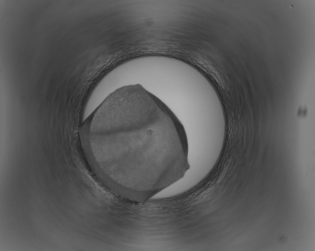 X0000090900593200708270946