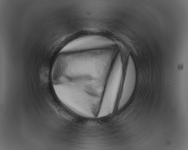 X0000090900596200708270946