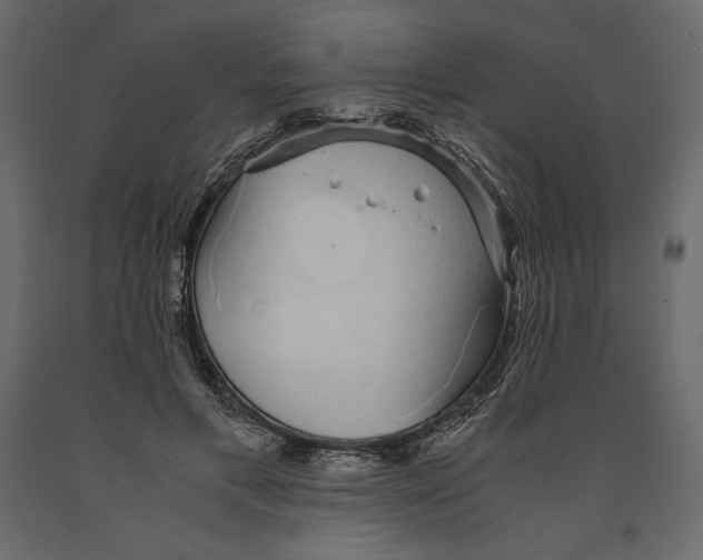 X0000090900597200708270946