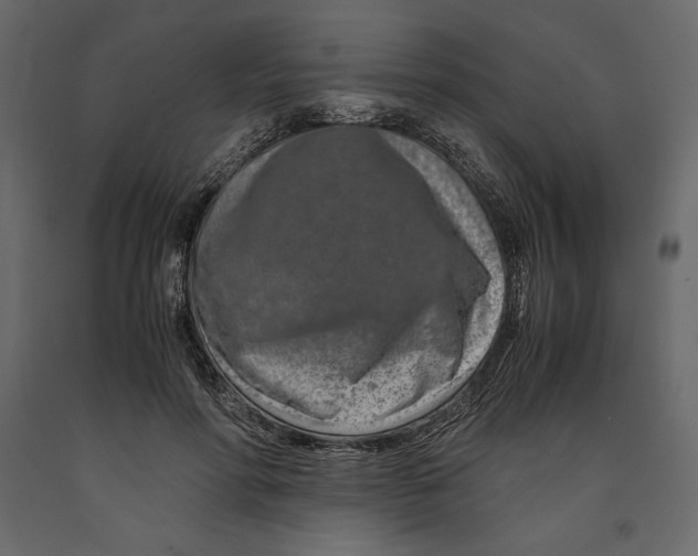 X0000090900598200708270946