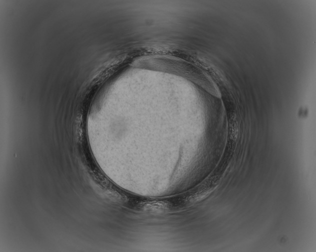 X0000090900599200708270946