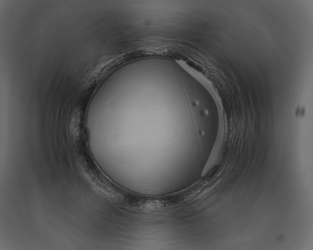 X0000090900600200708270946