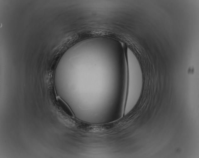 X0000090900601200708270946