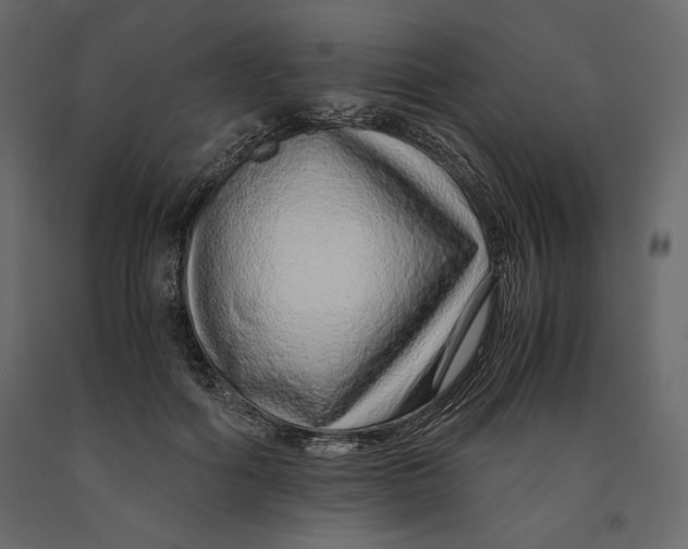X0000090900602200708270946