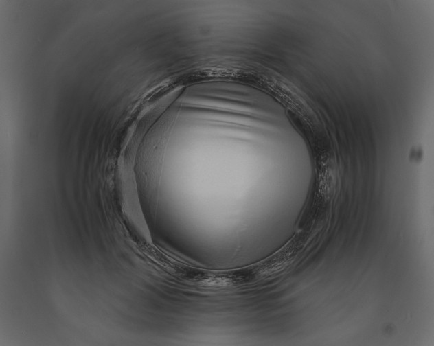 X0000090900604200708270945