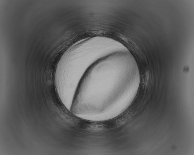 X0000090900606200708270945