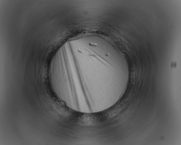 X0000090900608200708270945