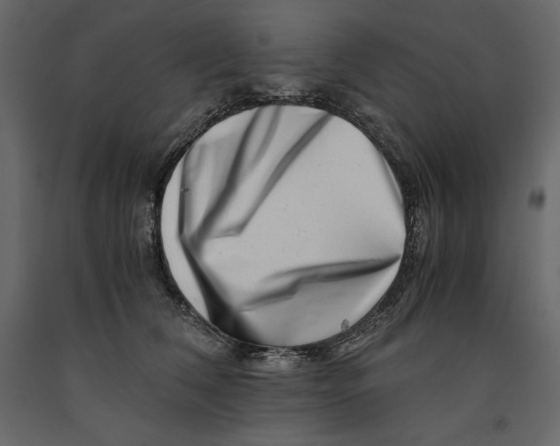 X0000090900612200708270945