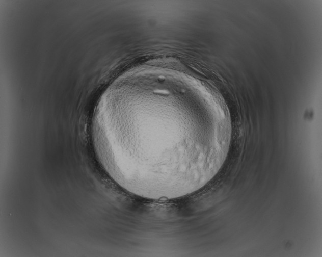 X0000090900615200708270945